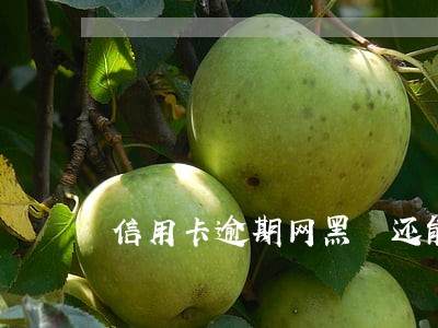 信用卡逾期网黑 还能网贷吗 信用卡逾期网黑 还能网贷吗